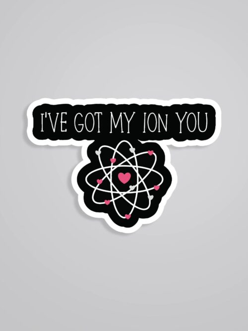 Ive Got My ION You Witty Stickers