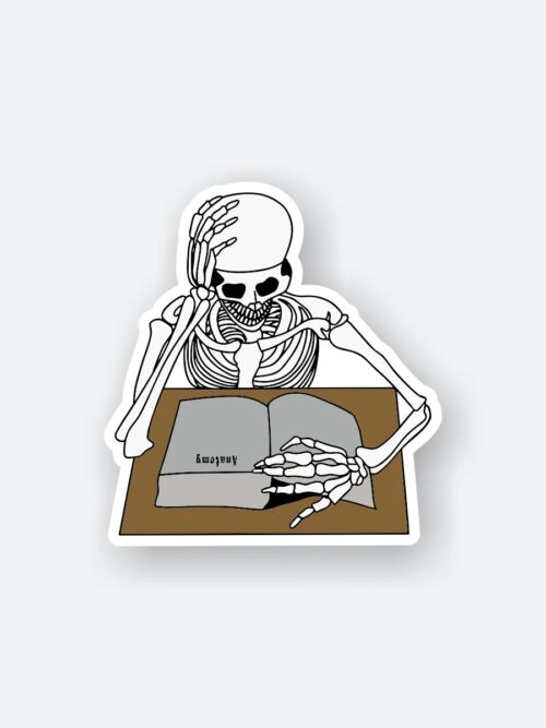 Learning Anatomy Sticker