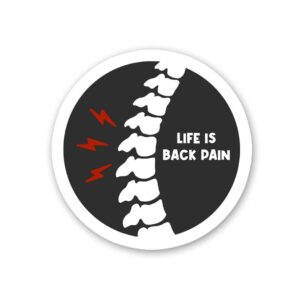 Life Is Back Pain Sticker Life Is Back Pain Sticker
