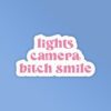Lights Camera Bitch Smile Taylor Swift Stickers