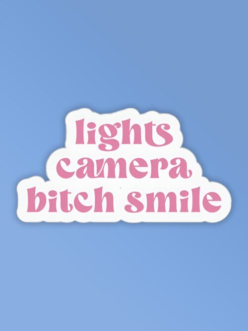 Lights Camera Bitch Smile Taylor Swift Stickers