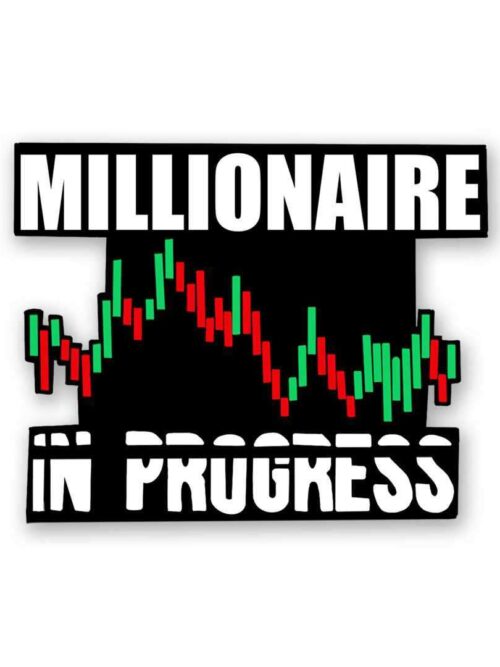 Millionaire In Progress Sticker