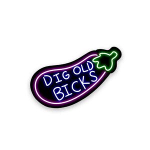 Neon Dicks Bicks Sticker Neon Dicks Bicks Sticker