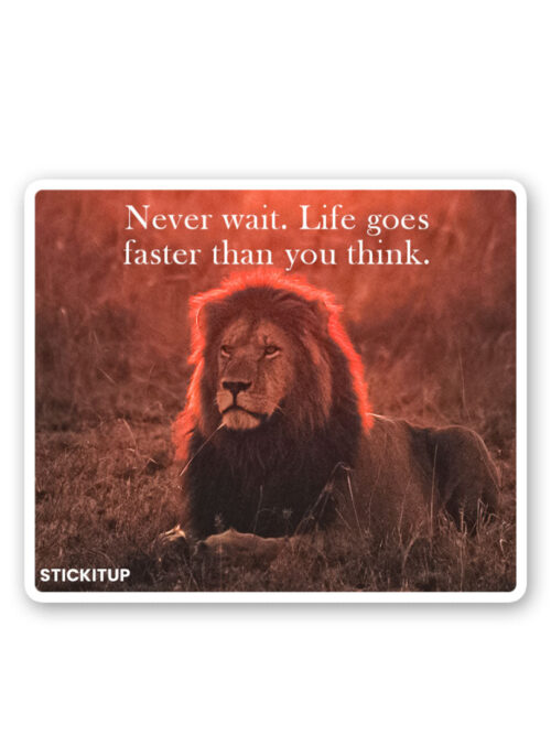 Never Wait Sticker