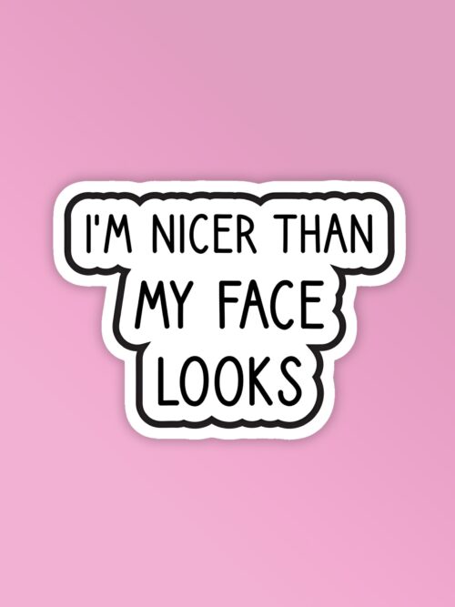 Nicer Than My Face Laptop Mobile Stickers