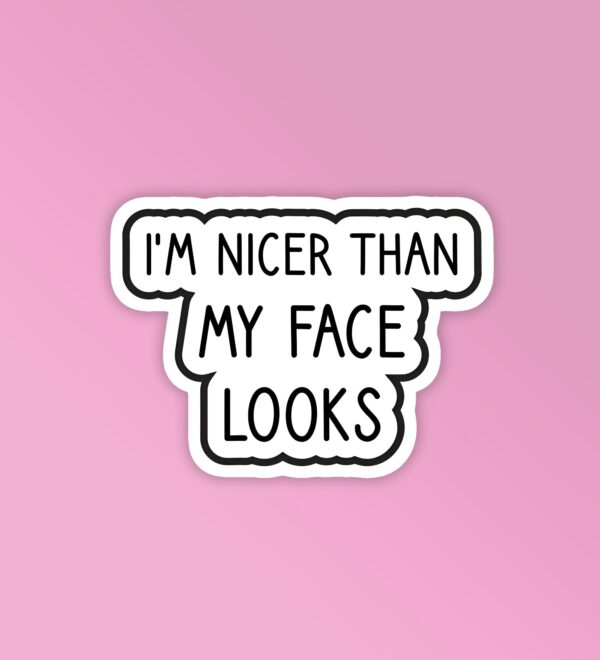 Nicer Than My Face Laptop Mobile Stickers Nicer Than My Face Laptop Mobile Stickers