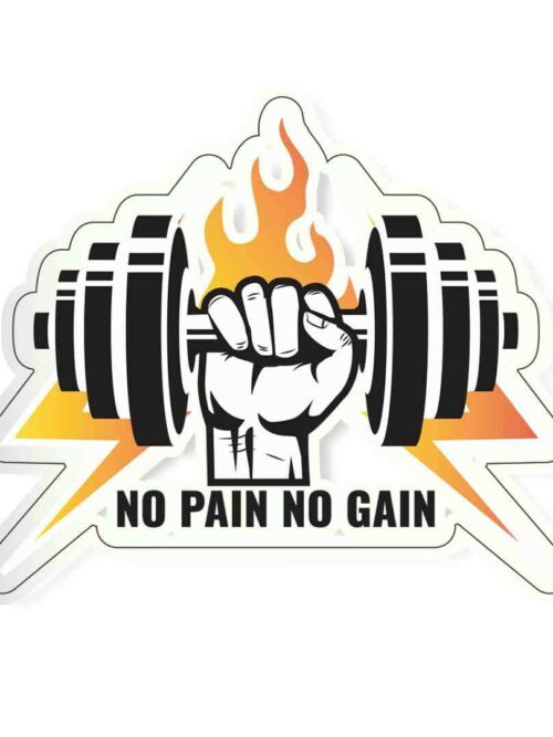 No Pain No Gain Sticker
