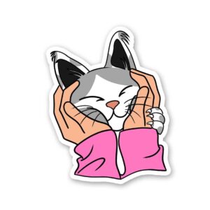 Petting A Cat Sticker Petting A Cat Sticker