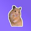 Pookie Mouse   Laptop Mobile Stickers