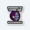 Powered By Coffee And Mitochondria
