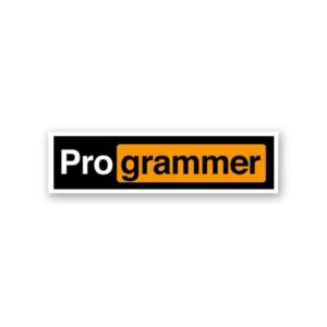 Pro Grammer Sticker Pro Grammer Sticker