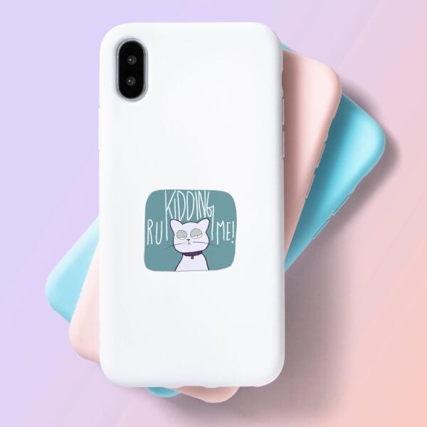 R U Kidding Me Laptop Mobile Stickers R U Kidding Me Laptop Mobile Stickers