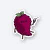 Relaxing Raspberry