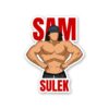 Sam Sulek Sticker
