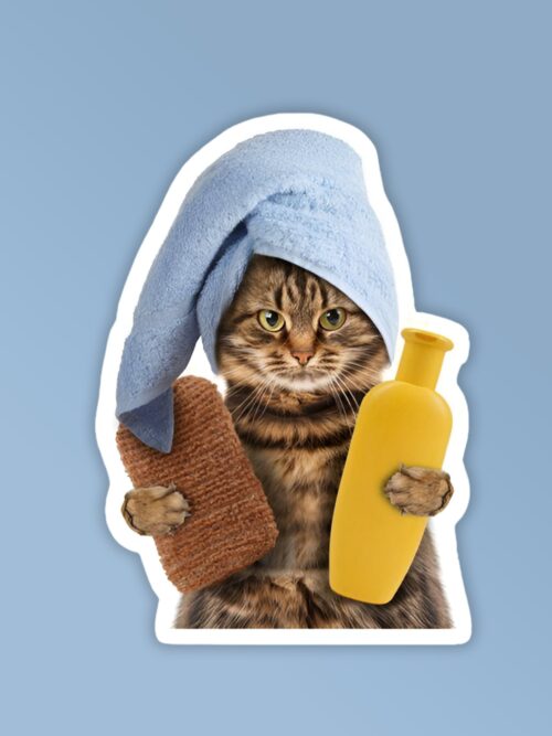 Skincare Kitty Funny Cat Meme Laptop   Mobile Sticker