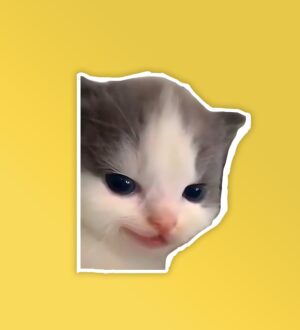 Snarky Kitty   Laptop Mobile Stickers