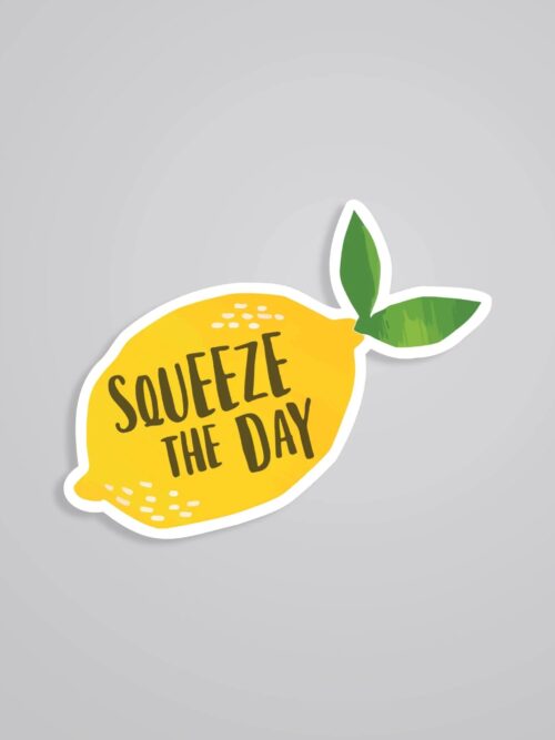 Squeeze The Day Motivational Stickers