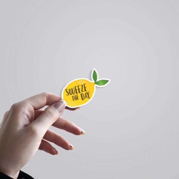 Squeeze The Day Motivational Stickers