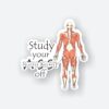 Study YourGluteus Maximus Off Sticker