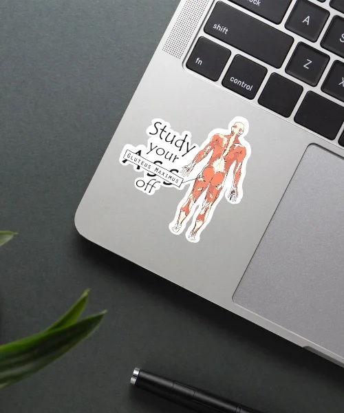 Study YourGluteus Maximus Off Sticker