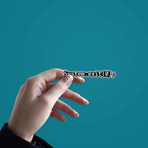System Exit Sticker