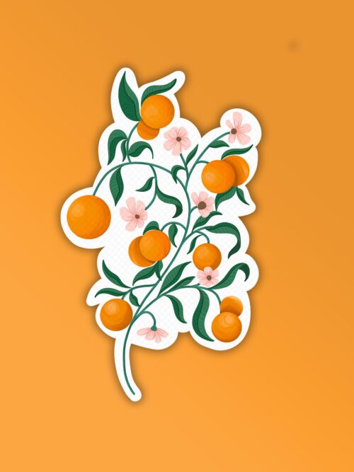 Tangerine Laptop Mobile Stickers