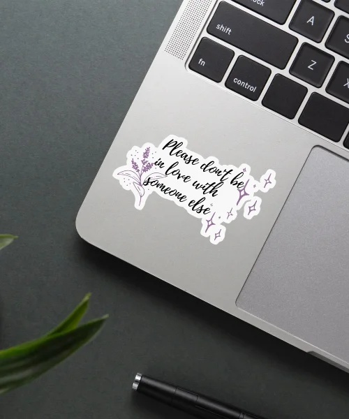 Taylor Swift Speak Now Lyrics Sticker