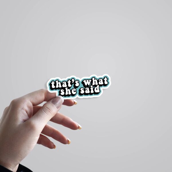 Thats What She Said TV Shows Stickers