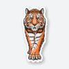 Tiger Sticker