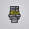 When Life Gives You Lemons Witty Stickers