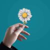 White Sunflower Sticker
