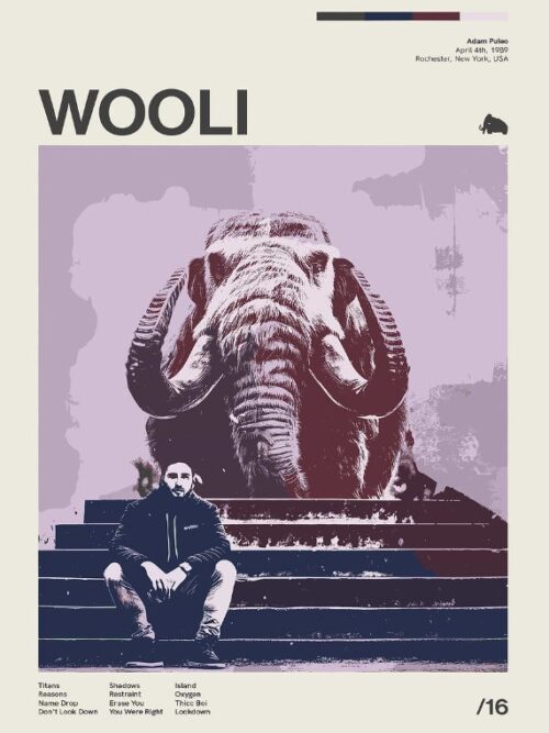Wooli Music Poster