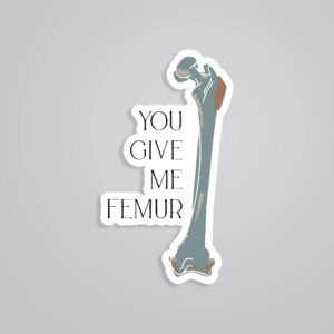 You Give Me FEMUR Witty Stickers