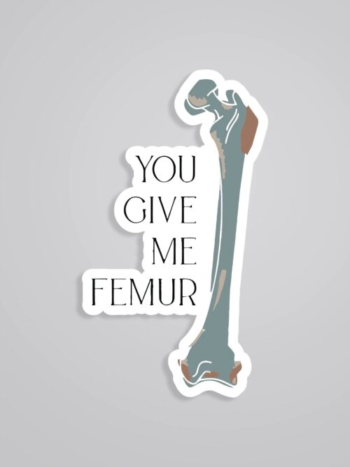 You Give Me FEMUR Witty Stickers