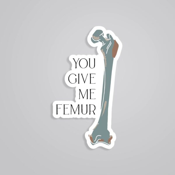 You Give Me FEMUR Witty Stickers You Give Me FEMUR Witty Stickers