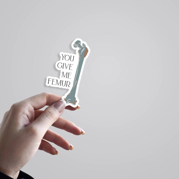 You Give Me FEMUR Witty Stickers You Give Me FEMUR Witty Stickers