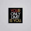 Your Only Limit Is You Motivational Stickers