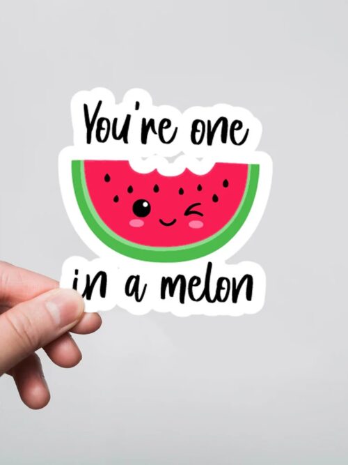 Youre One In A Melon Witty Stickers