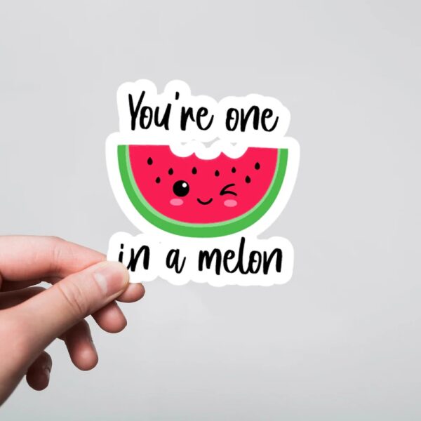 Youre One In A Melon Witty Stickers Youre One In A Melon Witty Stickers