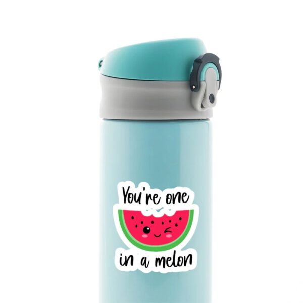 Youre One In A Melon Witty Stickers Youre One In A Melon Witty Stickers