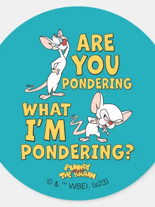Pinky And The Brain   Are You Pondering  Classic Round Sticker