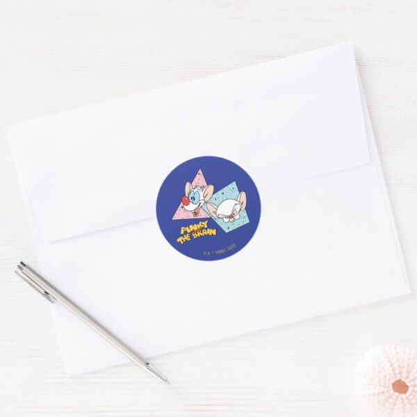 Pinky And The Brain   Retro Character Graphics Classic Round Sticker