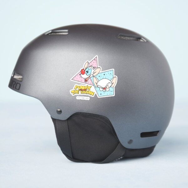 Pinky And The Brain   Retro Character Graphics Sticker