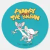 Pinky And The Brain   Show Logo Classic Round Sticker
