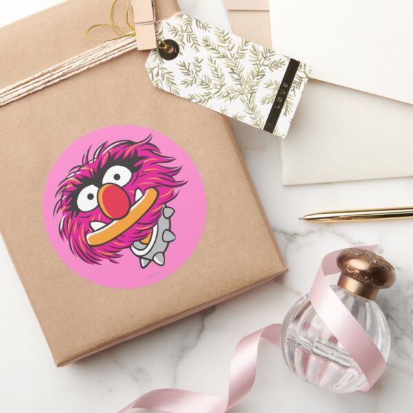 Animal_With_Collar_Classic_Round_Sticker_5 Animal With Collar Classic Round Sticker