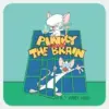 Animaniacs Pinky And The Brain Cage Graphic Square Sticker
