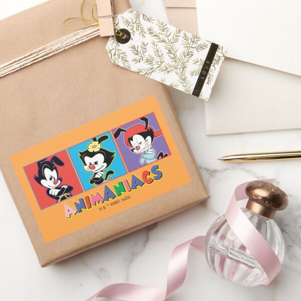 Animaniacs___Yakko,_Dot,_&_Wakko_Panel_Graphic_Rectangular_Sticker_5 Animaniacs Yakko Dot Wakko Panel Graphic Rectangular Sticker