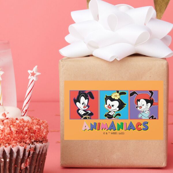 Animaniacs___Yakko,_Dot,_&_Wakko_Panel_Graphic_Rectangular_Sticker_7 Animaniacs Yakko Dot Wakko Panel Graphic Rectangular Sticker