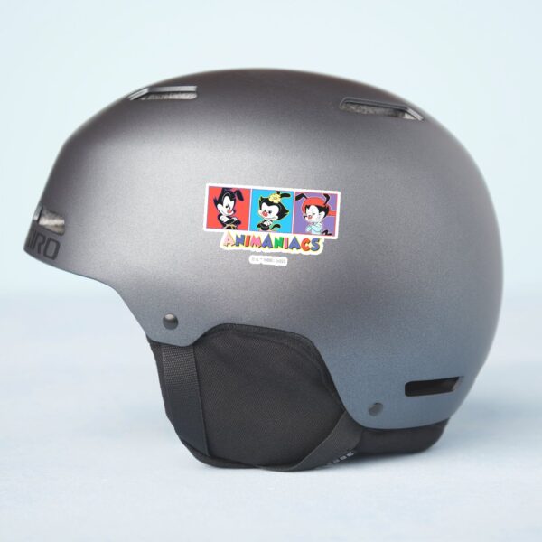 Animaniacs___Yakko,_Dot,_&_Wakko_Panel_Graphic_Sticker_8 Animaniacs Yakko Dot Wakko Panel Graphic Sticker