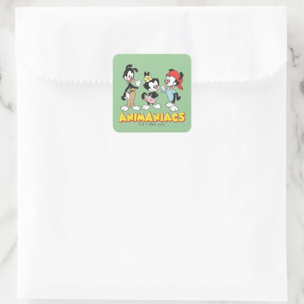 Animaniacs___Yakko,_Dot,_and_Wakko_Standing_Square_Sticker_4 Animaniacs Yakko Dot And Wakko Standing Square Sticker